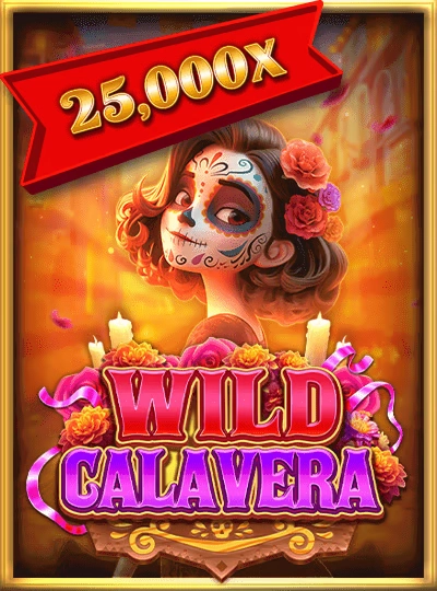 768bet 768bet